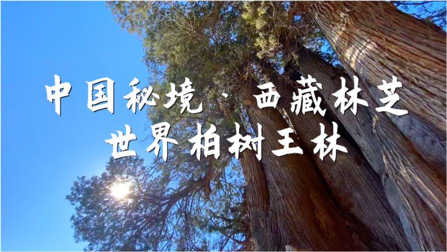 双点医院